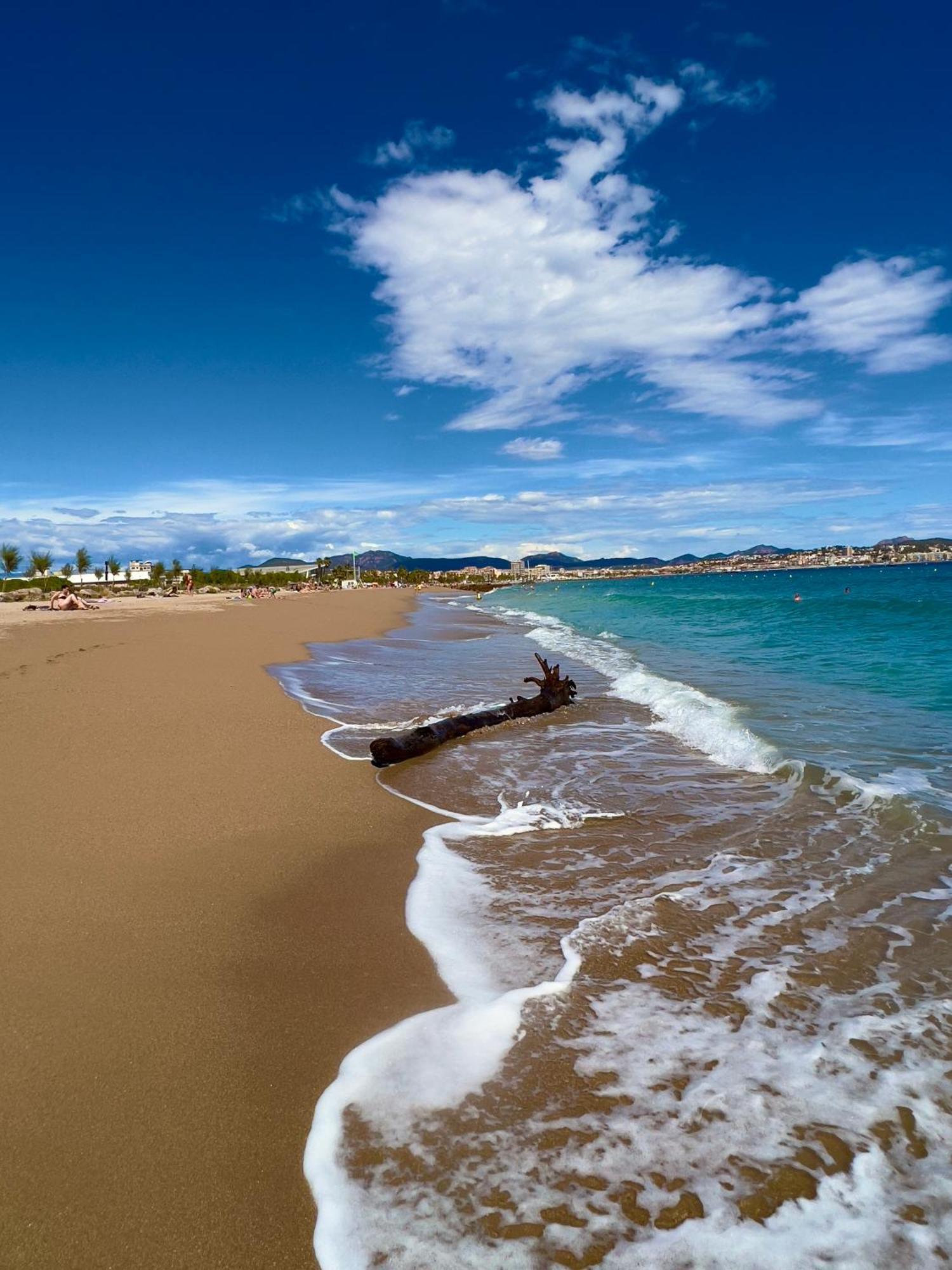 Les Cactus Frejus Plage מראה חיצוני תמונה